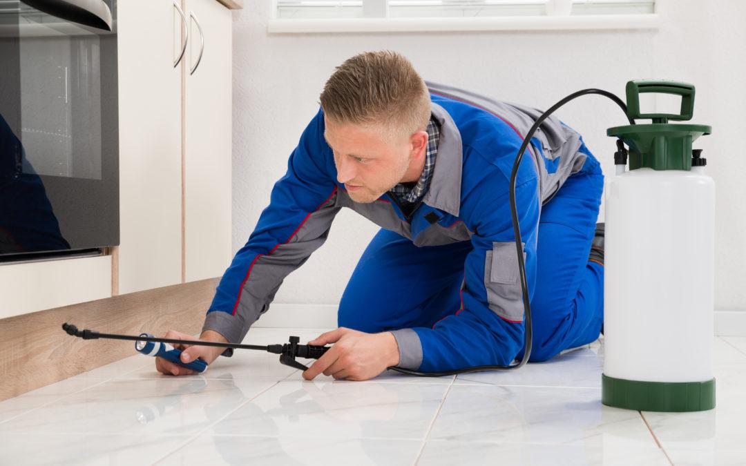 How to Keep Your Home in McKinney Pest-Free - Blogstudiio