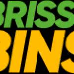 brissybins Profile Picture