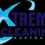 Extreme cleaning services Profile Picture
