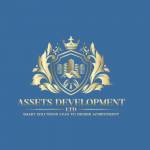 Assets development Profile Picture