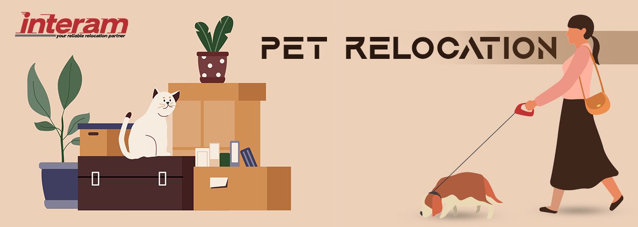 Pet Relocation Services