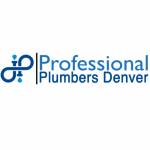 Professional Plumbers Denver Profile Picture