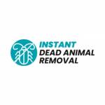 Instant Dead Animal Removal Profile Picture