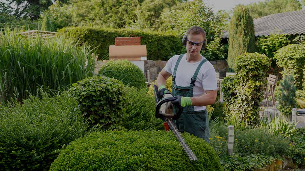 Landscaping Services : Eco Guardian Cleaning Services UAE