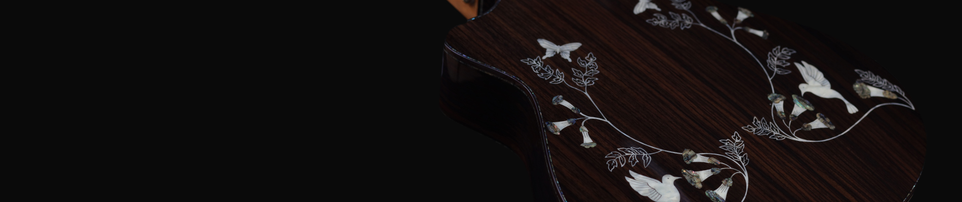 Buy High-End Acoustic Guitars Online Dubai | Intune Instruments