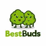 Best Buds Dispensary Profile Picture