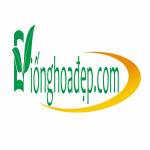 Giống Hoa Đẹp Profile Picture