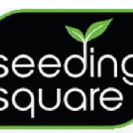 Seeding Square Profile Picture