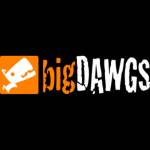 Bigdawgspromo US Profile Picture
