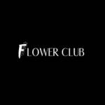 Christmas Flower Flower Club Profile Picture