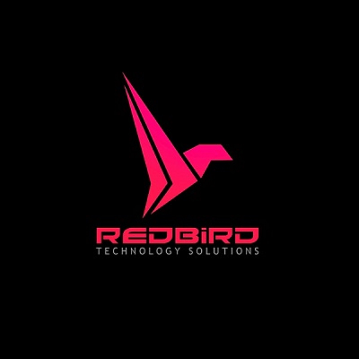 RedBird Technology Solutions Milwaukee Cover Image