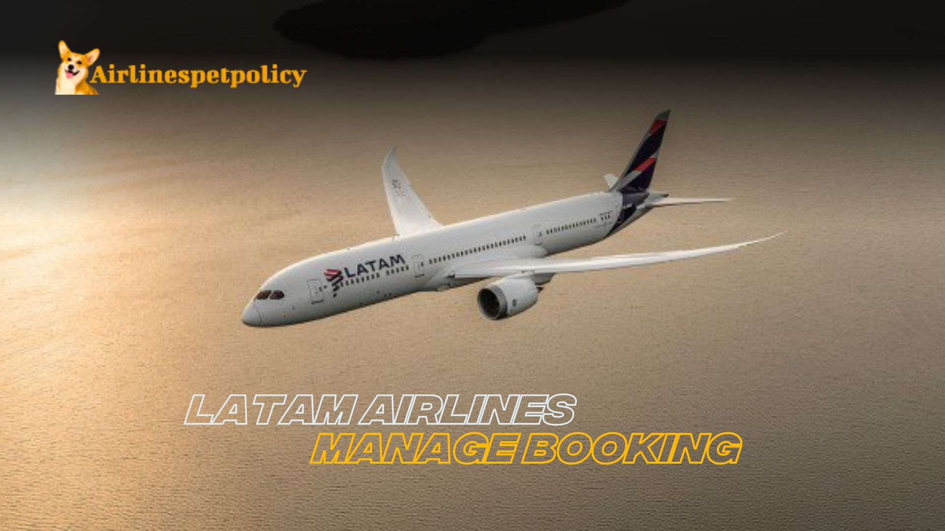 LATAM Airlines Manage Booking | Reservation & Services