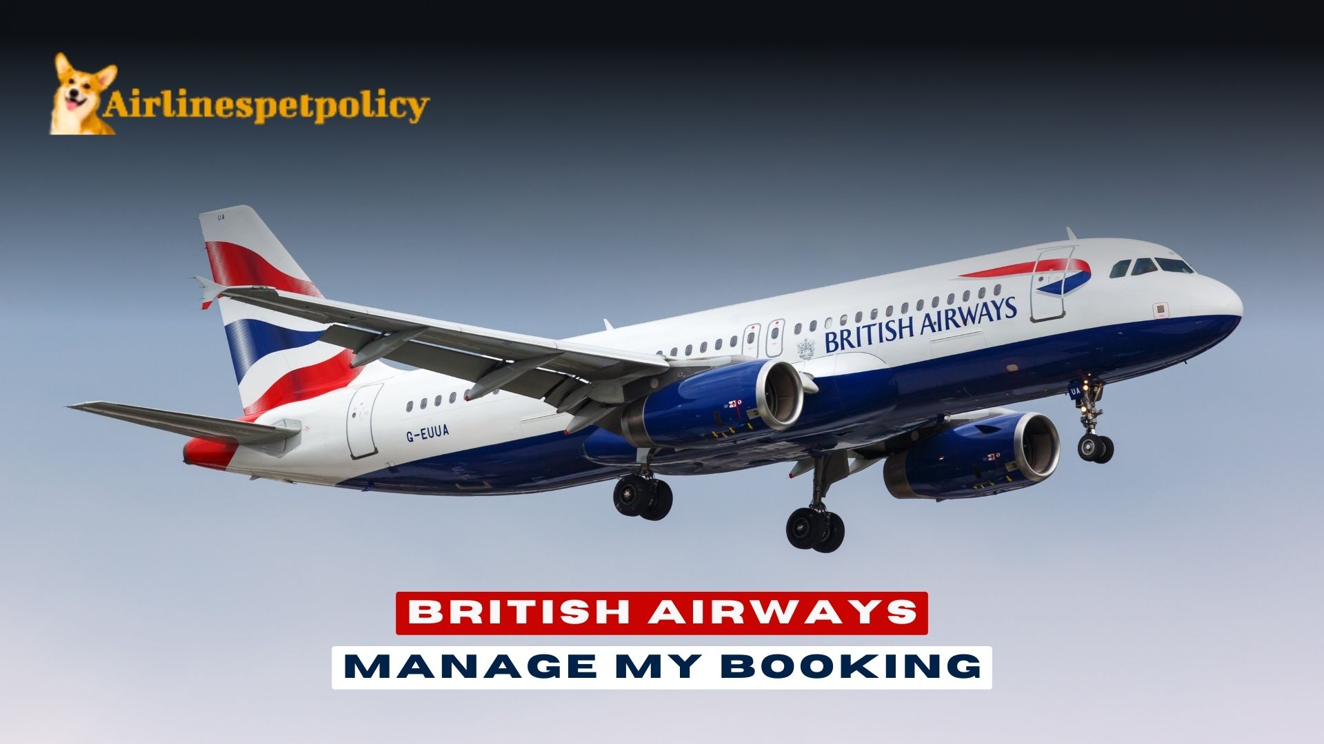 British Airways Manage My Booking | Reservation & Services