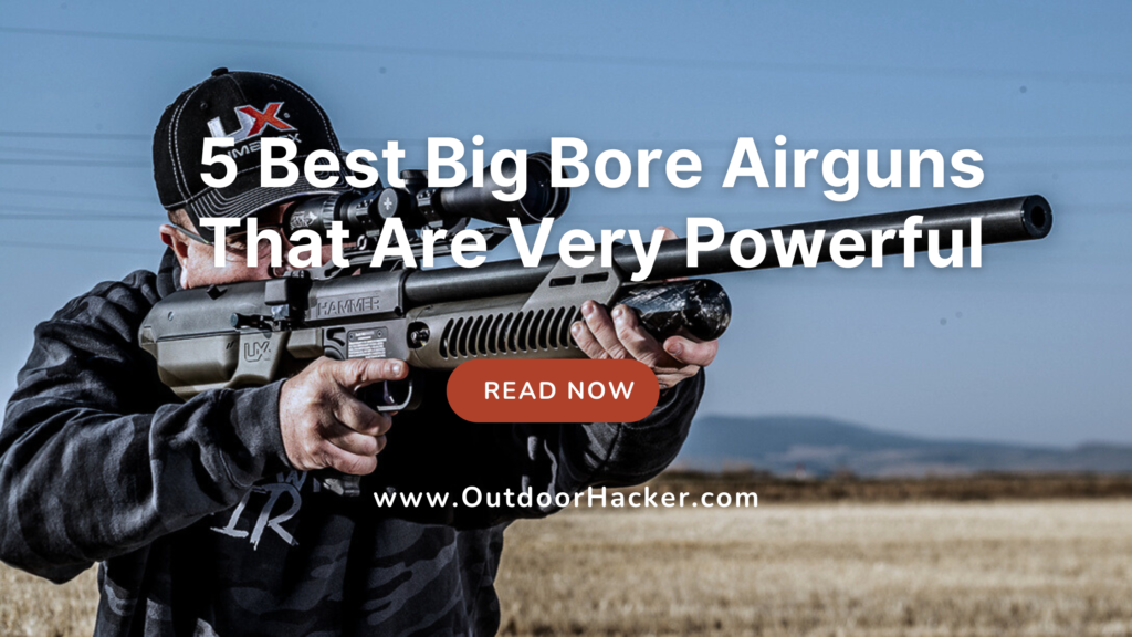 5 Best Big Bore Airguns That Are Very Powerful In 2024