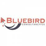 Bluebirdconsultancy FZE Profile Picture