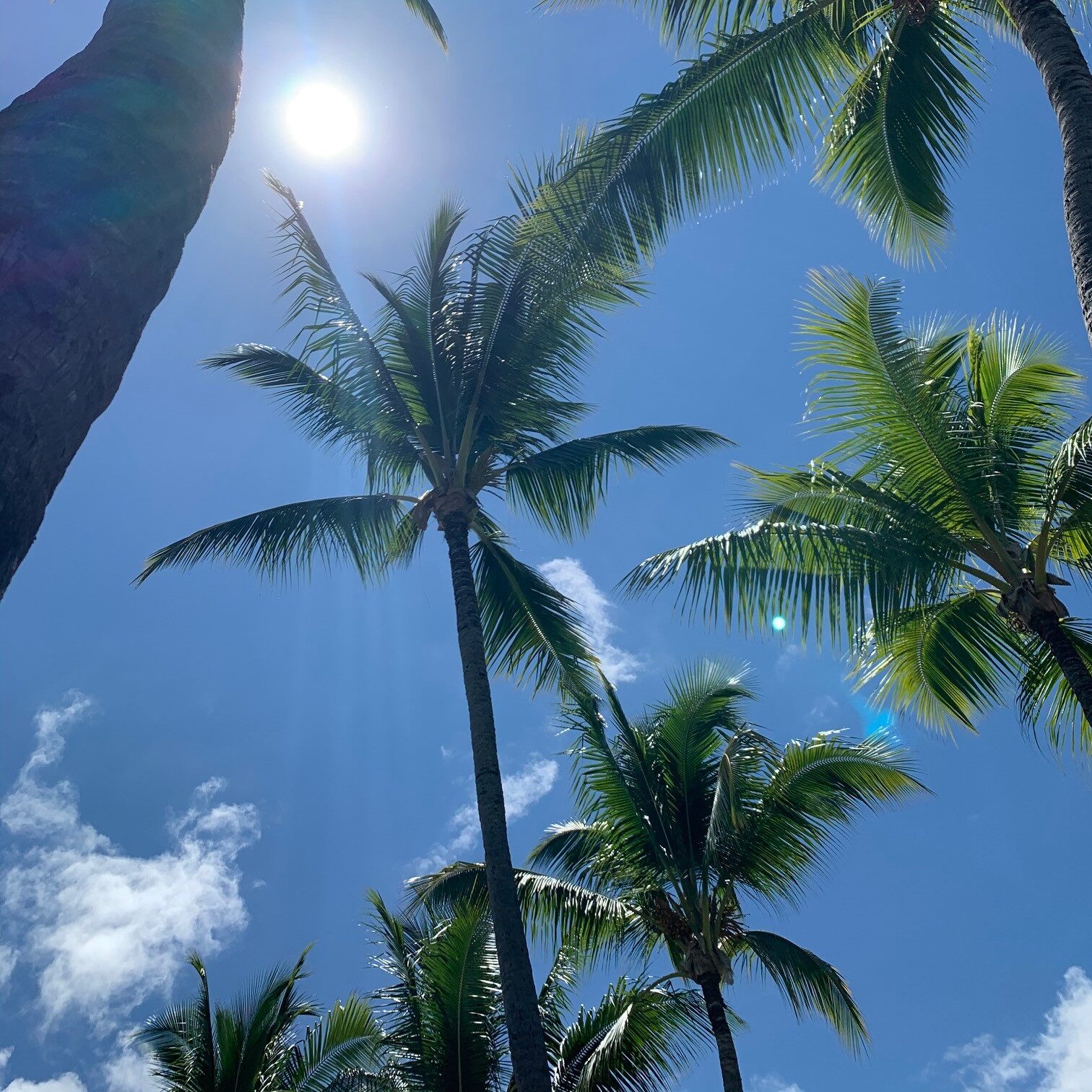 Buy Exclusive Luxury Hawaii Properties | Homes, Land, and Resorts for Sale on Big Island