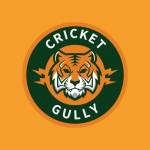 Cricket gully Profile Picture