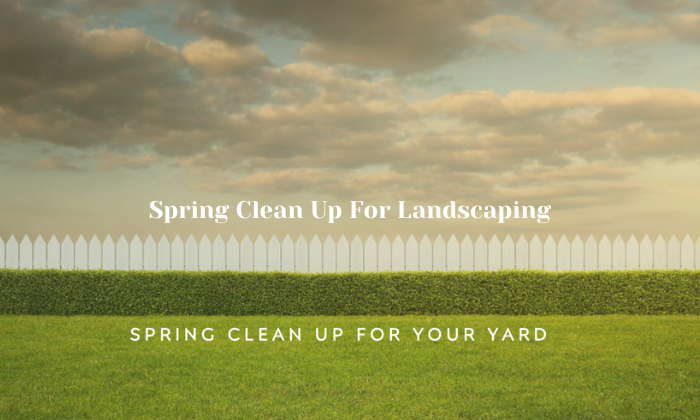 Discover The Benefits Of Spring Clean Up Landscaping