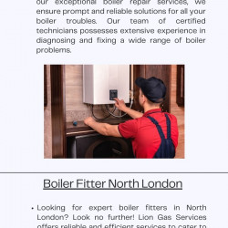 Lion Gas Services: Your Reliable Specialist for Boiler and Gas Solutions in North London | Visual.ly