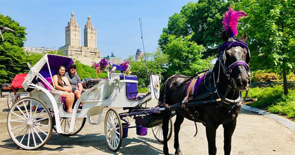 Central Park Carriage Tours | NYC Horse & Carriage Rides