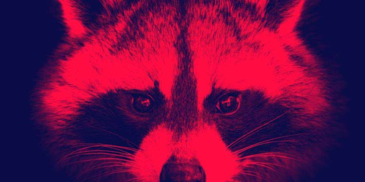What is Raccoon Stealer malware? and how to avoid it