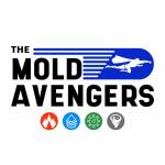 The Mold Avengers Profile Picture