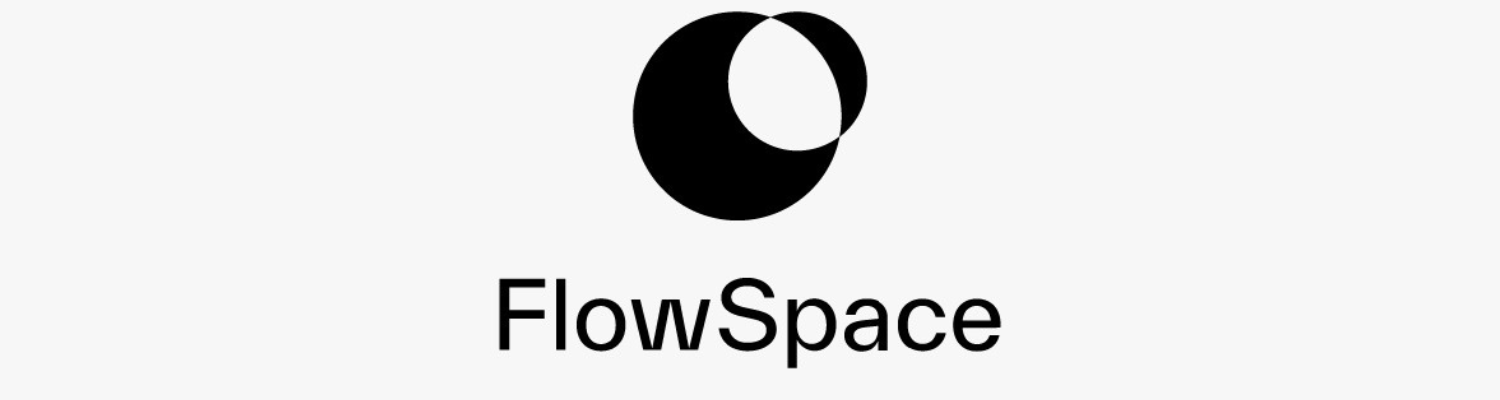 Flow Space Cover Image