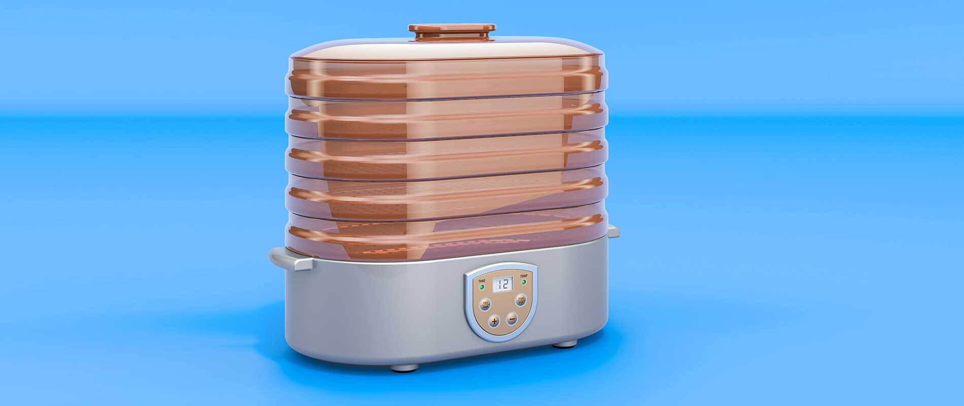 The Best Food Dehydrators for 2024