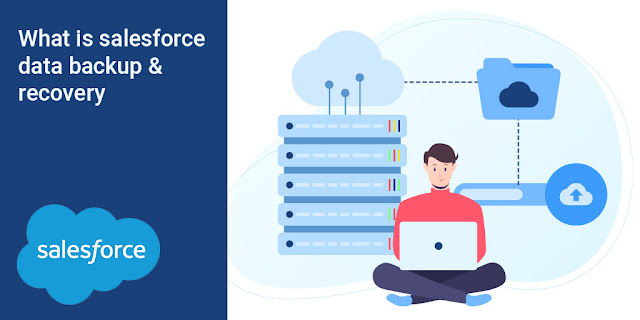 What and How of Salesforce Data Backup and Recovery - ArchiveOnCloud