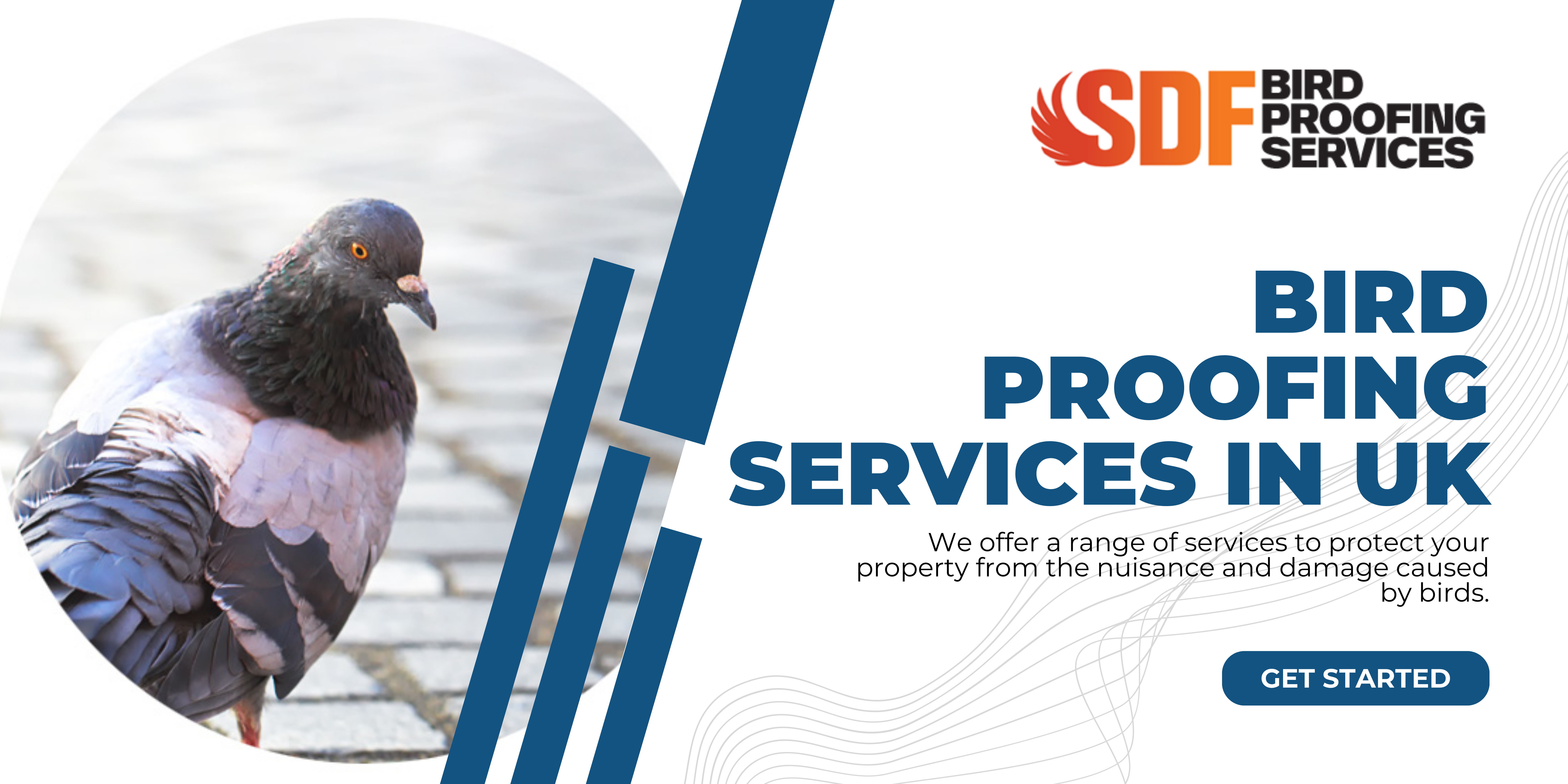 SDF Bird Proofing Services Cover Image
