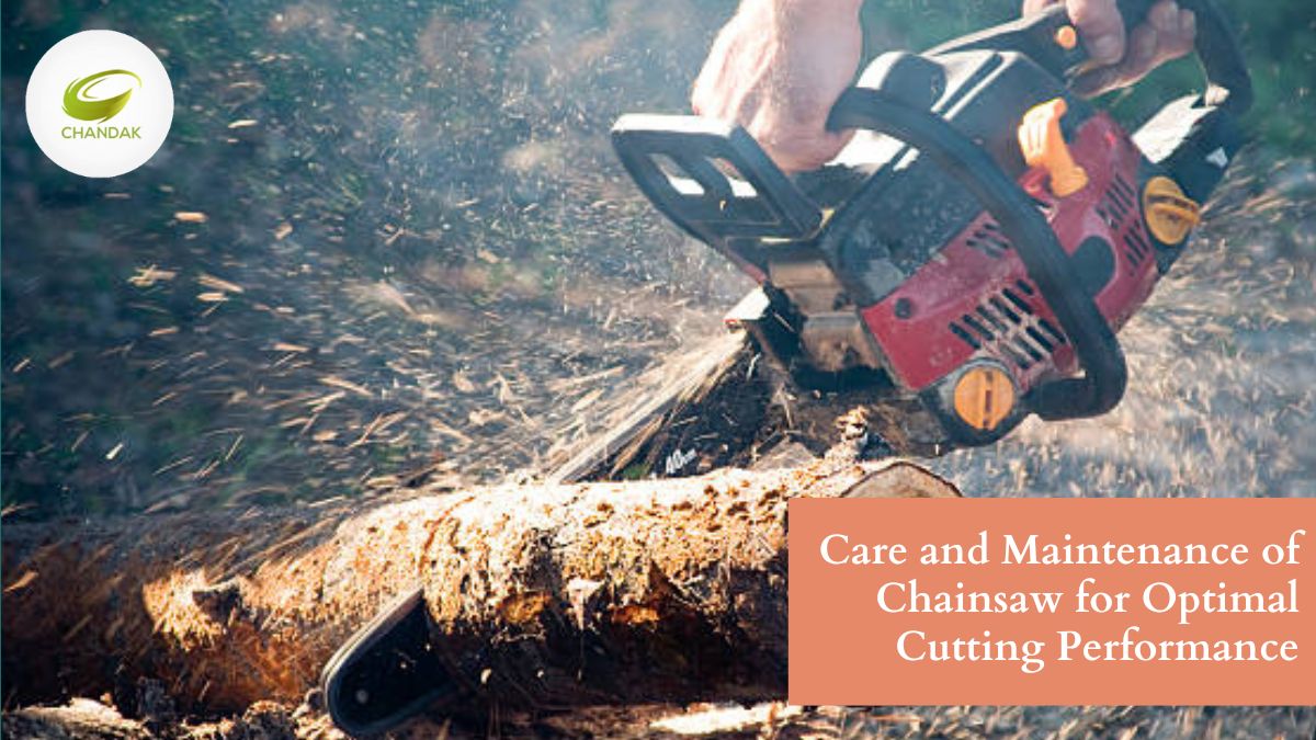 Care and Maintenance of Chainsaw for Optimal Cutting Performance - AtoAllinks