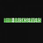 Brisk Servers Profile Picture