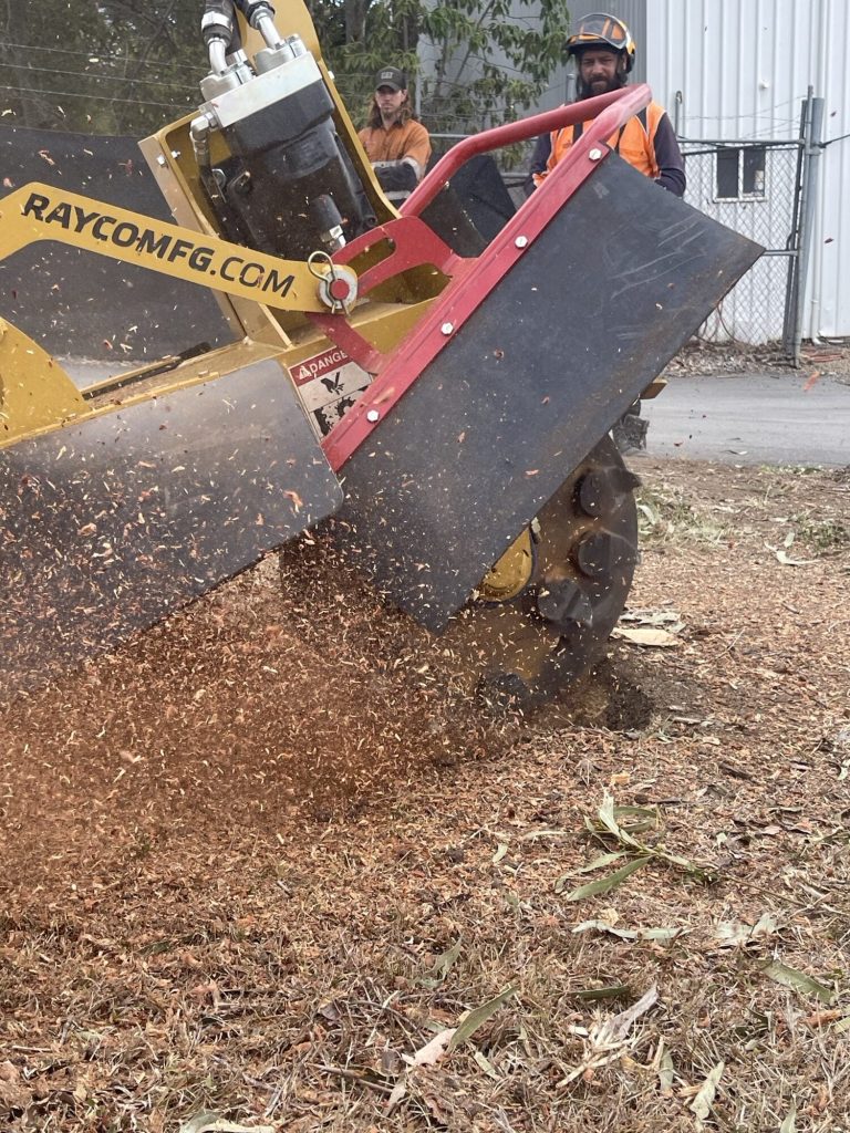 Discover Expert Stump Grinding Services in Brisbane