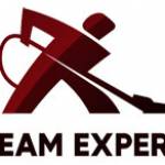 steam experts Profile Picture