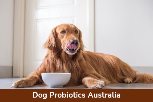 PYRAVET PROBIOTICS FOR DOGS Cover Image