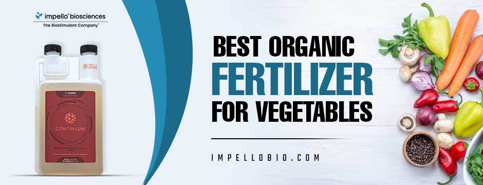 Transforming Your Vegetable Garden with the Best Organic Fertilizer For Vegetables – Impello® Biosciences