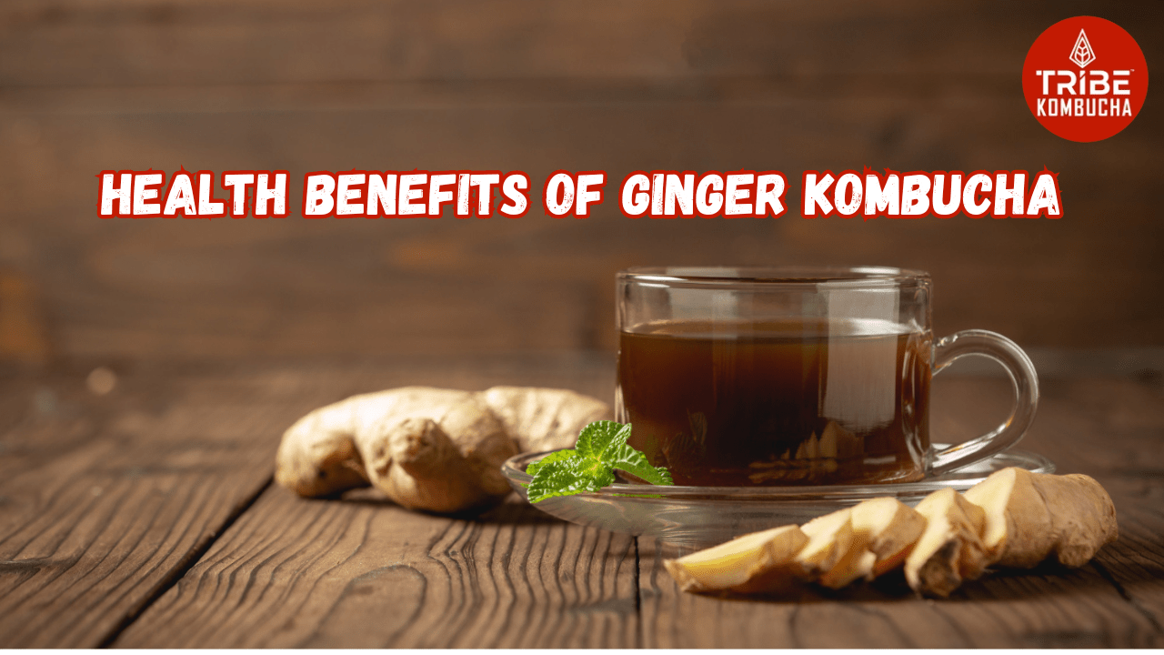 5 Potential Ginger Kombucha Tea Benefits | Mountain Tribe – MOUNTAINTRIBE