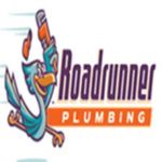 Roadrunner Plumbing Profile Picture