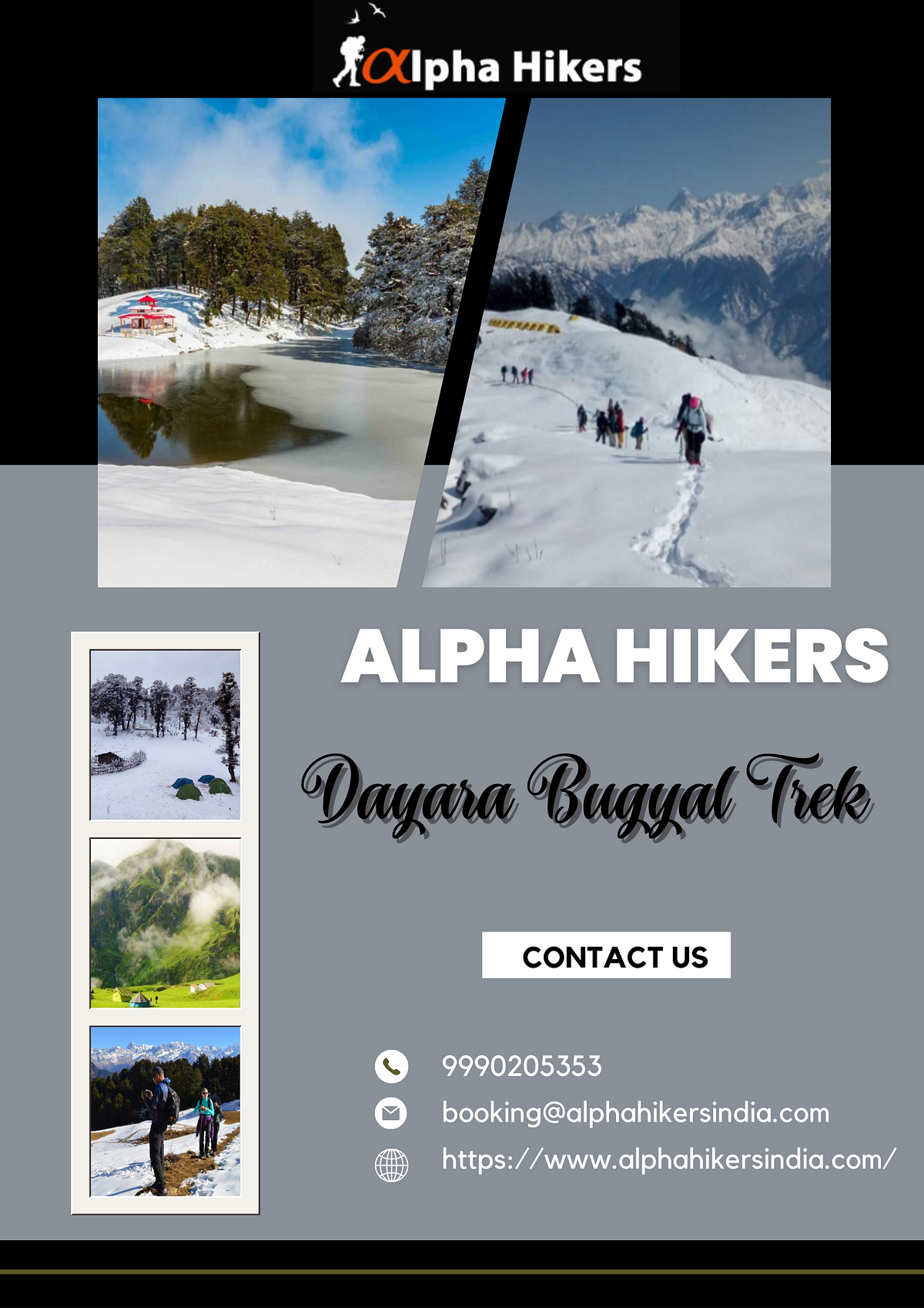 Exploring to beautiful Dayara Bugyal Trek By Alpha Hikers | by Alpha Hikers | Jan, 2024 | Medium
