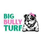 Big Bully Turf Profile Picture
