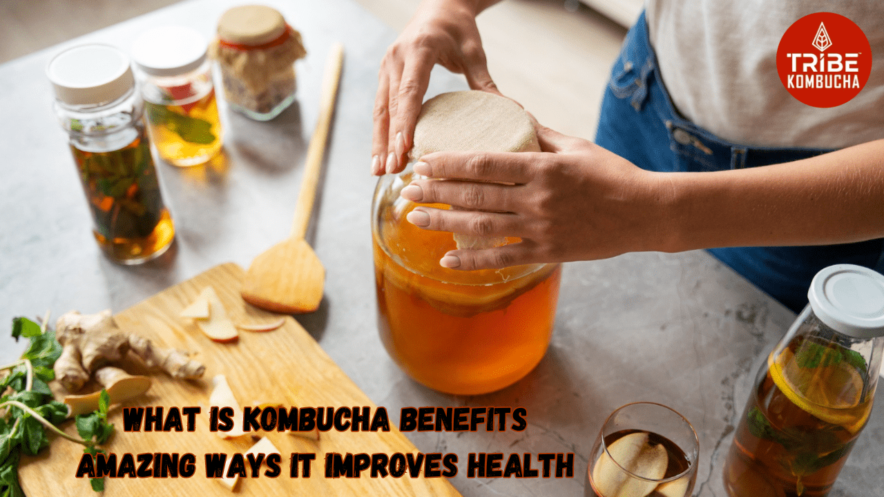 What Is Kombucha Benefits | Mountain Tribe Kombucha – MOUNTAINTRIBE