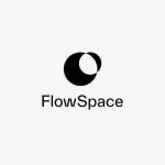 Flow Space Profile Picture