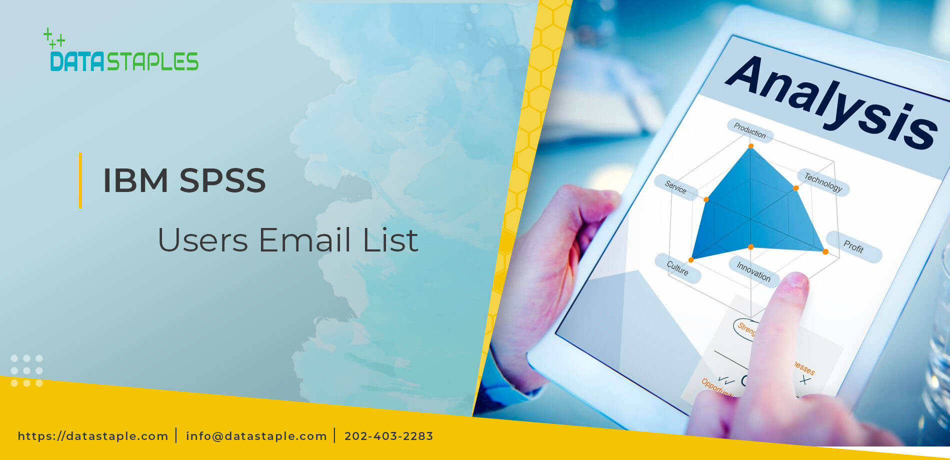 IBM SPSS Users Email List | DataStaples