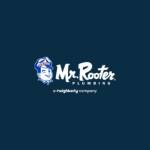 Mr Rooter Plumbing of Dallas Profile Picture