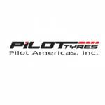 Poiltamericas Tire Manufacturers in USA Profile Picture
