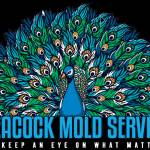 Peacock Mold Services LLC Profile Picture