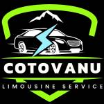 limousineservice cotovanu Profile Picture