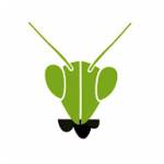 L' insecterie Profile Picture