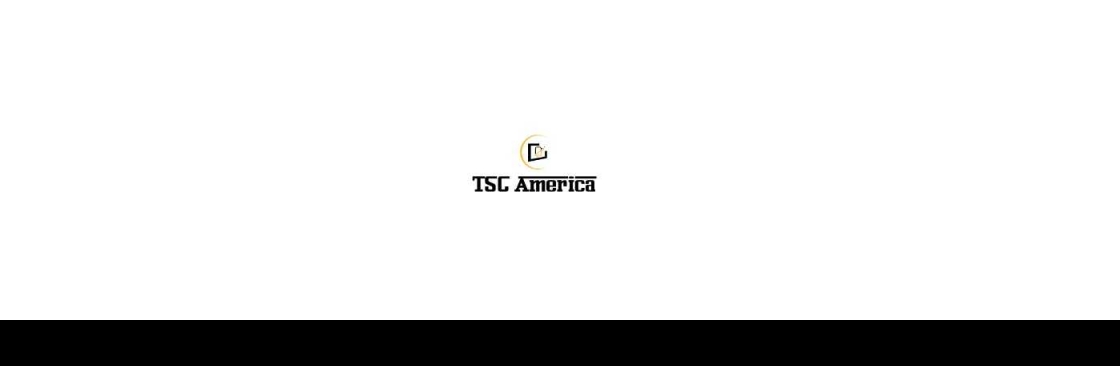 The software company America LLC Cover Image