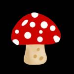 mushroomgummies Profile Picture